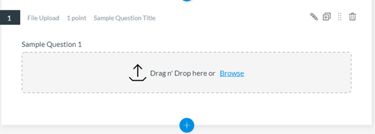 Submit answer as file upload for canvas quiz